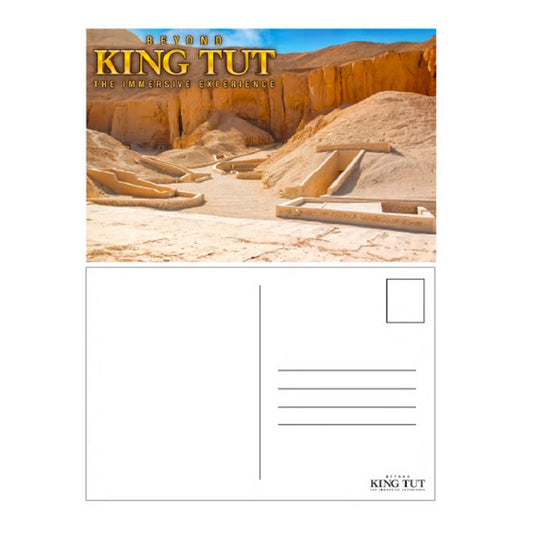Valley of the Kings Postcard